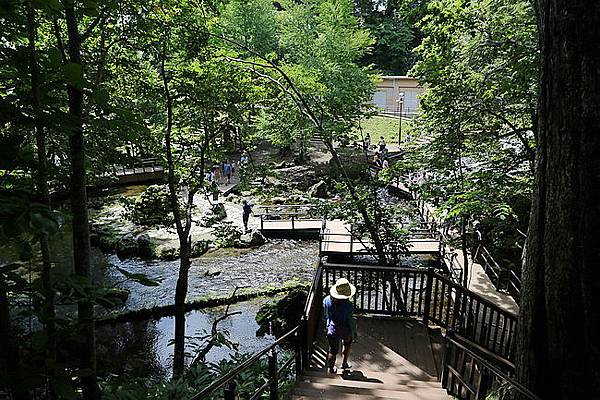 20150802名水公園、瀧野紮營、札幌好市多-18.JPG