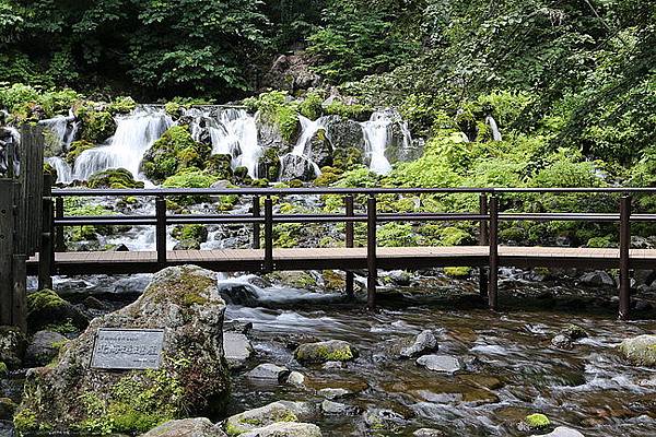 20150802名水公園、瀧野紮營、札幌好市多-20.JPG