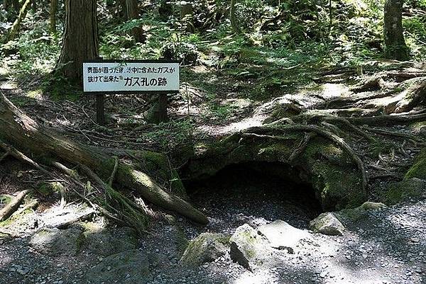 20160707冰穴風穴里根場大石公園-020.jpg