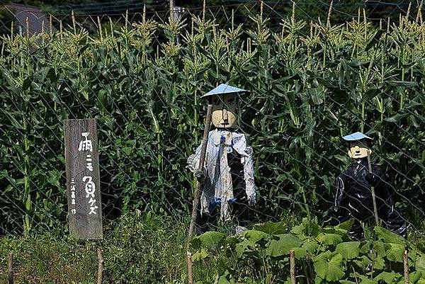 20160707冰穴風穴里根場大石公園-079.jpg