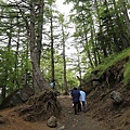 20160708爬富士山-043.jpg