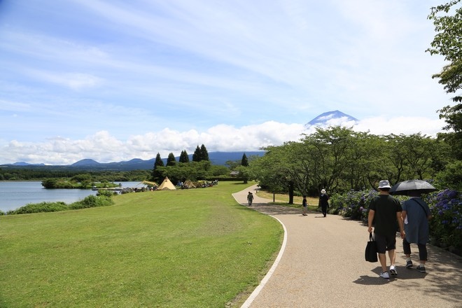 20160710田貫胡、小田貫濕原、陣馬瀑布、白系瀑布、富士山手筒花火-024.jpg