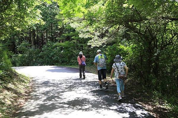 20160710田貫胡、小田貫濕原、陣馬瀑布、白系瀑布、富士山手筒花火-030.jpg