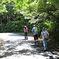 20160710田貫胡、小田貫濕原、陣馬瀑布、白系瀑布、富士山手筒花火-030.jpg