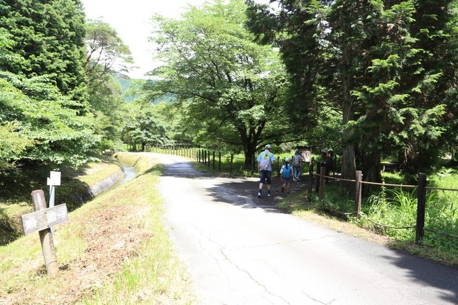 20160710田貫胡、小田貫濕原、陣馬瀑布、白系瀑布、富士山手筒花火-033.jpg