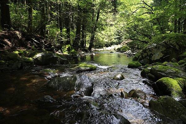 20160710田貫胡、小田貫濕原、陣馬瀑布、白系瀑布、富士山手筒花火-037.jpg