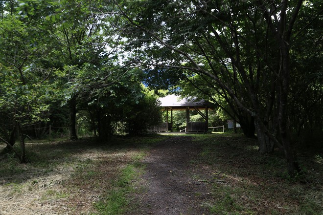 20160710田貫胡、小田貫濕原、陣馬瀑布、白系瀑布、富士山手筒花火-040.jpg