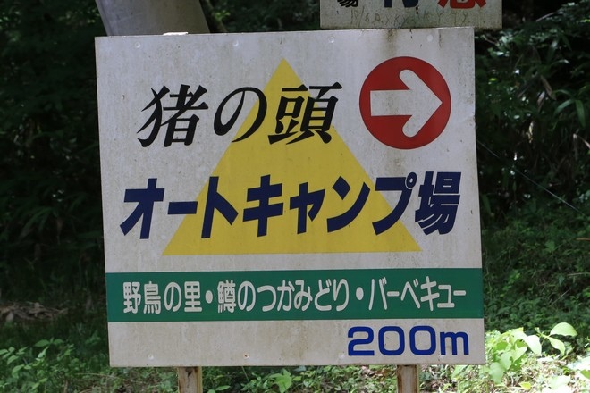 20160710田貫胡、小田貫濕原、陣馬瀑布、白系瀑布、富士山手筒花火-050.jpg