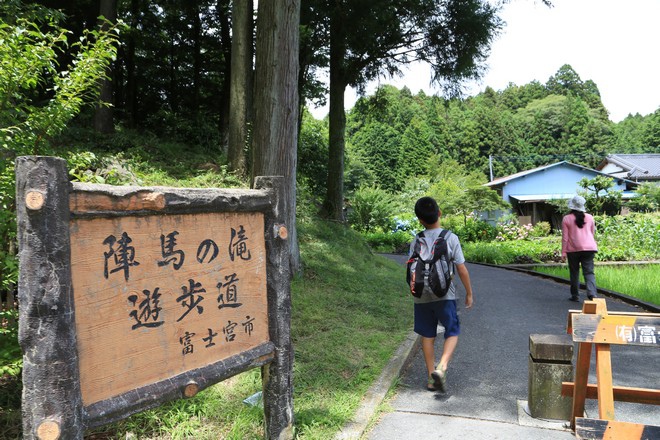 20160710田貫胡、小田貫濕原、陣馬瀑布、白系瀑布、富士山手筒花火-055.jpg