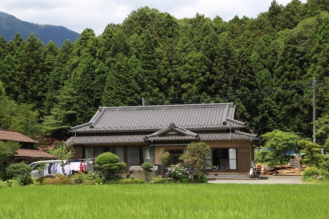 20160710田貫胡、小田貫濕原、陣馬瀑布、白系瀑布、富士山手筒花火-054.jpg