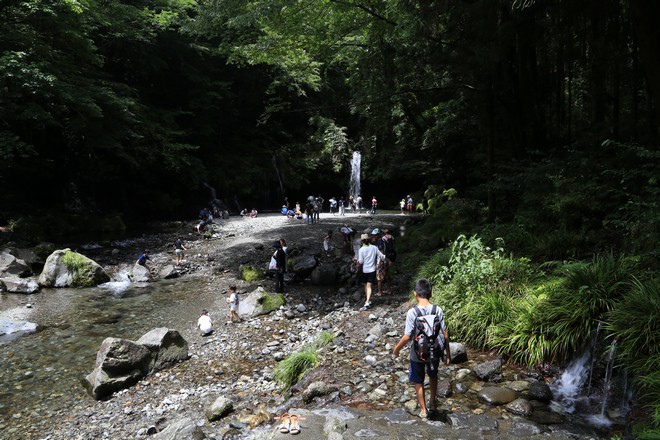 20160710田貫胡、小田貫濕原、陣馬瀑布、白系瀑布、富士山手筒花火-060.jpg