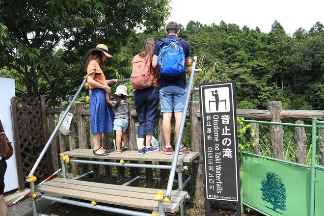 20160710田貫胡、小田貫濕原、陣馬瀑布、白系瀑布、富士山手筒花火-084.jpg