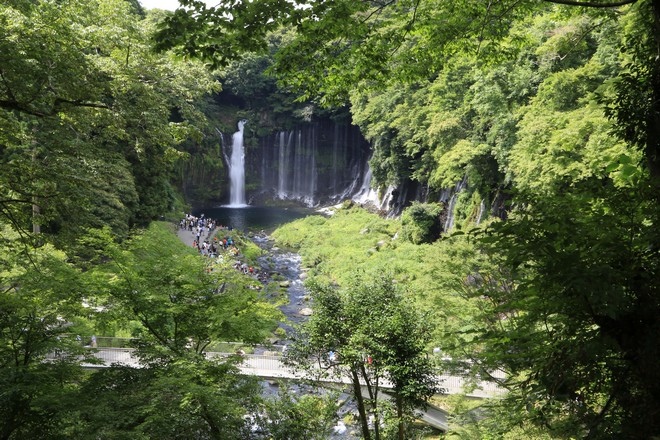 20160710田貫胡、小田貫濕原、陣馬瀑布、白系瀑布、富士山手筒花火-089.jpg