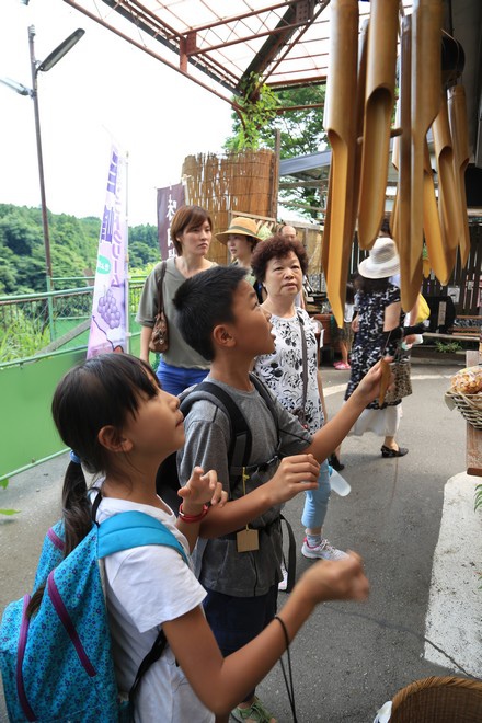 20160710田貫胡、小田貫濕原、陣馬瀑布、白系瀑布、富士山手筒花火-087.jpg