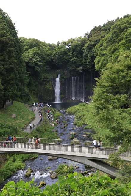 20160710田貫胡、小田貫濕原、陣馬瀑布、白系瀑布、富士山手筒花火-091.jpg