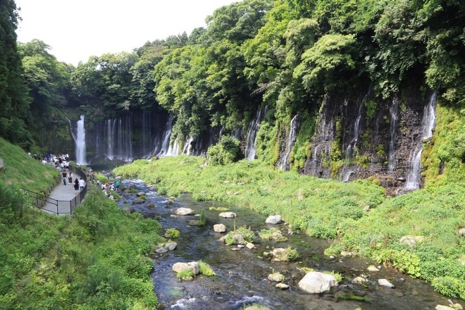 20160710田貫胡、小田貫濕原、陣馬瀑布、白系瀑布、富士山手筒花火-093.jpg