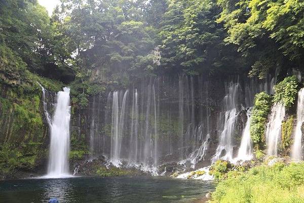 20160710田貫胡、小田貫濕原、陣馬瀑布、白系瀑布、富士山手筒花火-098.jpg