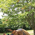 2016071520160715白老ふるさと2000年ポロトの森、室蘭、母戀便當、豊浦海浜公園キャンプ場-028.jpg