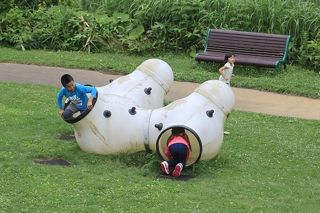 20160718東大沼、大沼公園駅、沼 の家、墨魚冰淇淋、道南四季 の杜公園、八幡阪、函館山纜車站-038.jpg