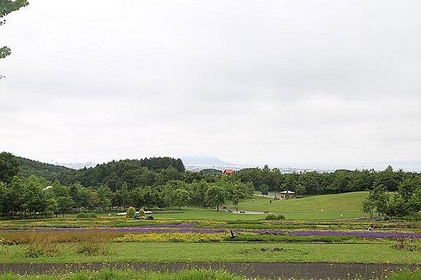 20160718東大沼、大沼公園駅、沼 の家、墨魚冰淇淋、道南四季 の杜公園、八幡阪、函館山纜車站-051.jpg