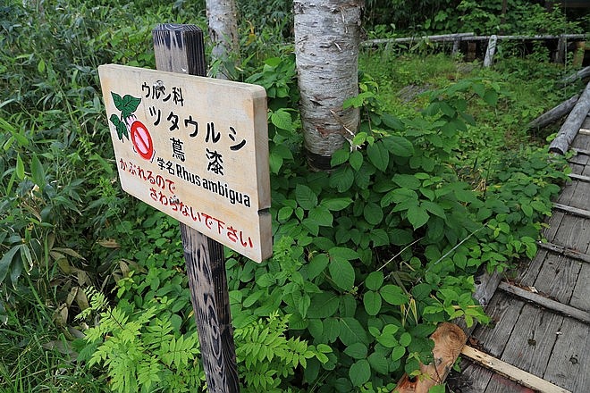 20160720二世谷野營場、神仙沼、神威岬、道営野塚野営場、岬の湯しゃこたん-045.jpg