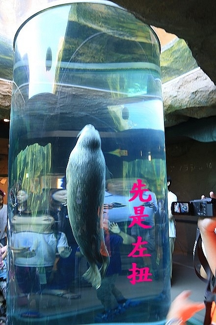 20160724ひがしかぐら森林公園キャンプ場、旭山動物園、成吉思汗 大黒屋 五丁目支店、旭川市區-053.jpg