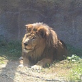 20160724ひがしかぐら森林公園キャンプ場、旭山動物園、成吉思汗 大黒屋 五丁目支店、旭川市區-059.jpg