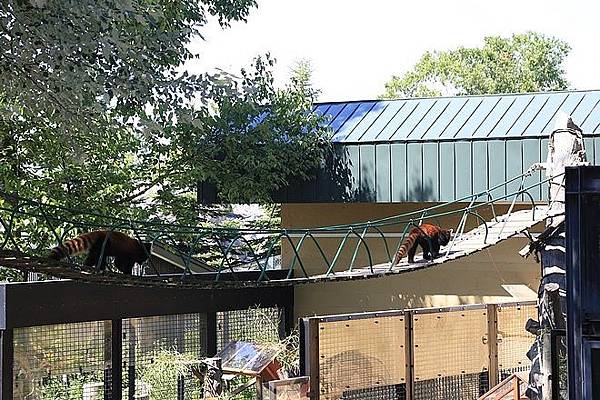 20160724ひがしかぐら森林公園キャンプ場、旭山動物園、成吉思汗 大黒屋 五丁目支店、旭川市區-067.jpg