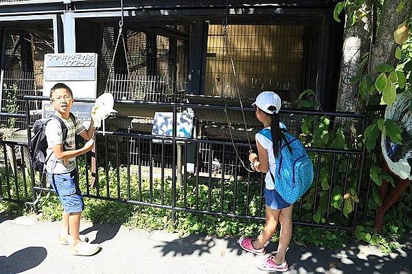 20160724ひがしかぐら森林公園キャンプ場、旭山動物園、成吉思汗 大黒屋 五丁目支店、旭川市區-068.jpg