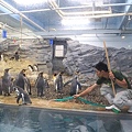 20160724ひがしかぐら森林公園キャンプ場、旭山動物園、成吉思汗 大黒屋 五丁目支店、旭川市區-100.jpg