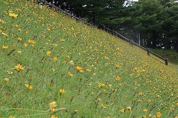 20160728稚内森林公園キャンプ場、稚內公園(エコ足湯、南極観測樺太犬記念碑、氷雪の門)、野寒布岬、漁師の店、北防波堤ドーム、稚内駅、副港市場買稚內鮮乳、道立宗谷公園、宗谷岬、日本最北端の郵便局、浜頓別湖畔キャンプ場-010.jpg