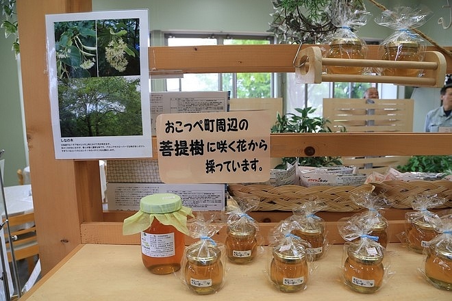 20160729-浜頓別湖畔キャンプ場、道の駅マリーンアイランド岡島(枝幸町)、道の駅おうむ(雄武町)、道の駅おこっぺ(興部町)、冨田ファーム農場、北海道立オホーツク流氷公園、コムケ国際キャンプ場080.jpg