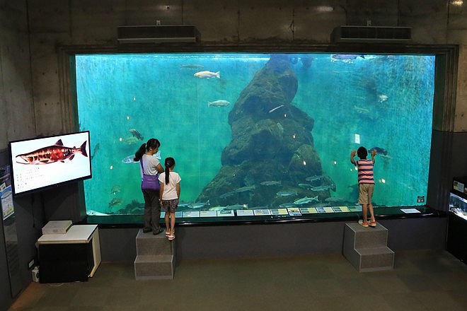 20160803尾岱沼ふれあいキャンプ場、標津羊羹本舗、標津サーモン科学館、道立ゆめの森公園、回転寿司花まる中標津店、Coin Laundry、A-COOP中標津店買養老牛放牧牛乳-059.jpg