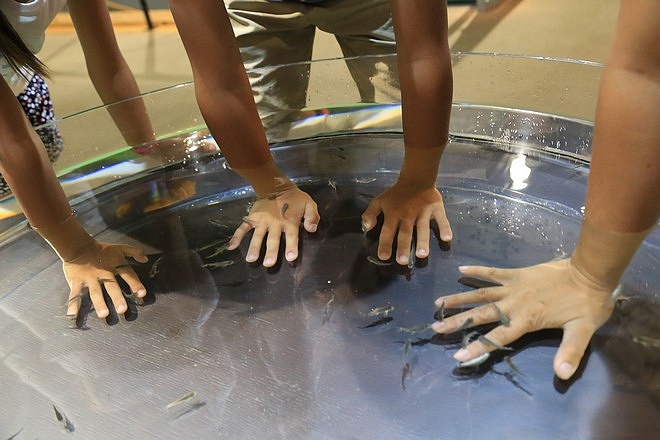 20160803尾岱沼ふれあいキャンプ場、標津羊羹本舗、標津サーモン科学館、道立ゆめの森公園、回転寿司花まる中標津店、Coin Laundry、A-COOP中標津店買養老牛放牧牛乳-056.jpg