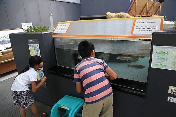 20160803尾岱沼ふれあいキャンプ場、標津羊羹本舗、標津サーモン科学館、道立ゆめの森公園、回転寿司花まる中標津店、Coin Laundry、A-COOP中標津店買養老牛放牧牛乳-063.jpg