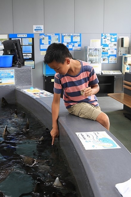 20160803尾岱沼ふれあいキャンプ場、標津羊羹本舗、標津サーモン科学館、道立ゆめの森公園、回転寿司花まる中標津店、Coin Laundry、A-COOP中標津店買養老牛放牧牛乳-065.jpg