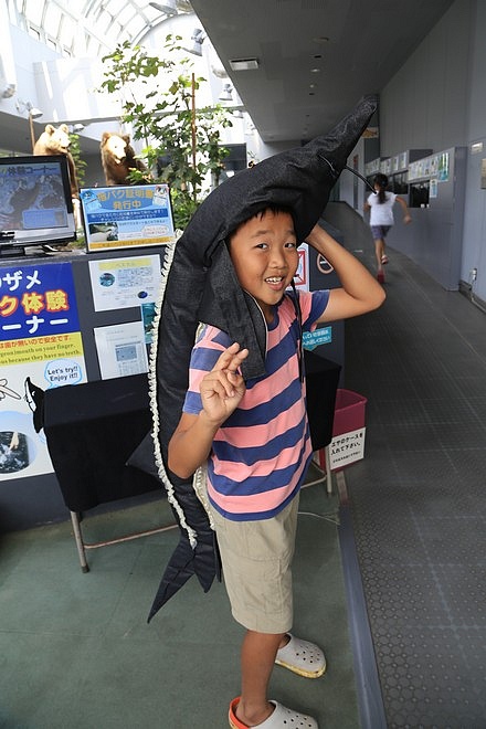 20160803尾岱沼ふれあいキャンプ場、標津羊羹本舗、標津サーモン科学館、道立ゆめの森公園、回転寿司花まる中標津店、Coin Laundry、A-COOP中標津店買養老牛放牧牛乳-070.jpg