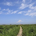 20160804野付半島、味の時計台、A-COOP中標津店、道立ゆめの森公園、開陽台、砂湯キャンプ場、屈斜路湖荘-021.jpg