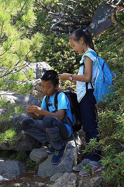 20160806雌阿寒岳登頂、野中溫泉、Onneto湖(五色沼)-032.jpg