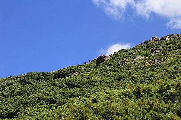 20160806雌阿寒岳登頂、野中溫泉、Onneto湖(五色沼)-061.jpg