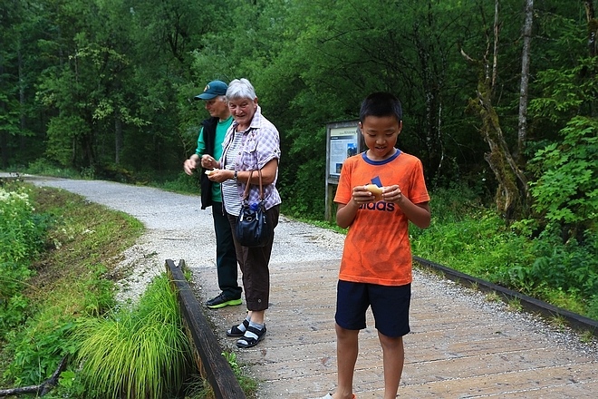 20170708卡比地廣場、薩爾斯堡要塞、Ramsau、Hintersee-133.jpg