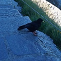 2010716_Pilatus黃金環遊-097.jpg