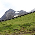 2010719少女峰、Jungfrau Eiger Walk-166.jpg