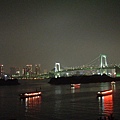 彩虹大橋夜景 2.JPG