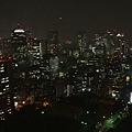 東京都夜景.JPG