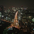 東京都夜景 2.JPG