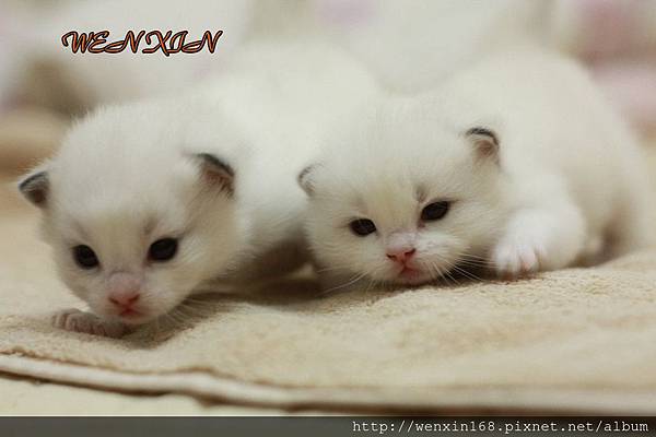 IMG_3459 IMG_3459