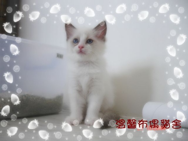 照片 018-1.jpg 照片 018-1.jpg