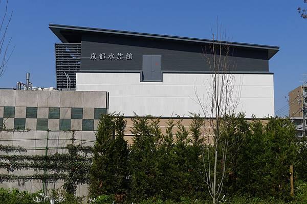 12日本賞櫻之京都水族館 呼米 ふみ 的部落格 痞客邦 12日本賞櫻之京都水族館 呼米 ふみ 的部落格 痞客邦