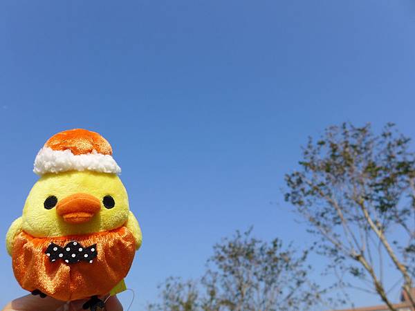 P1120806 P1120806